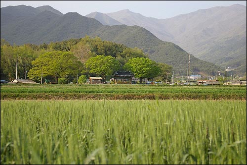 농촌마을의 이웃 공동체는 서로를 돕고 이해하는 가장 완벽한 공동체 마을이 되었다. 